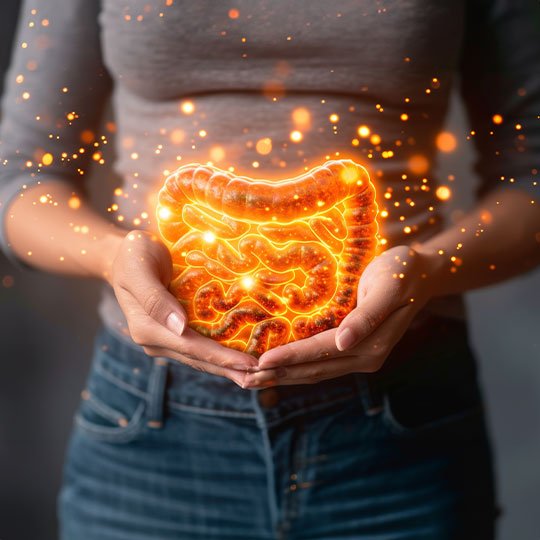 Bagirsak Sagliginiz Eklem Agrilarinizin Gizli Nedeni Olabilir mi