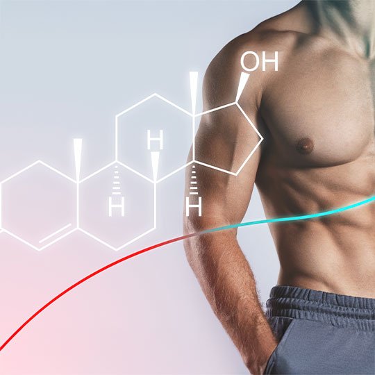 Testosteron Rehberi Nedir, Nasıl Artırılır ve Tedavi Yöntemleri