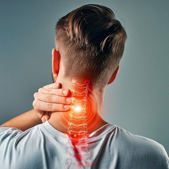 habib bostan boyun fitigi nedir